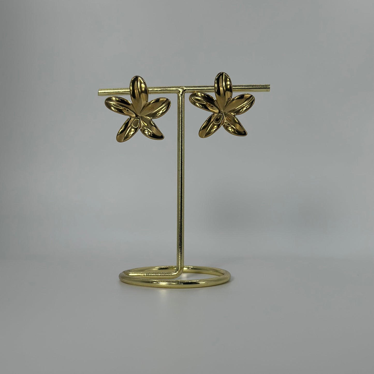 Boucles Léane