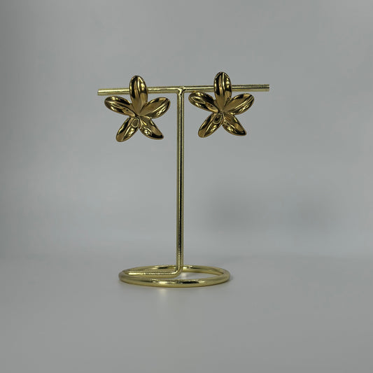 Boucles Léane
